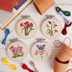 RHS Embroidery Hoop Decoration Kit Butterfly and Flora